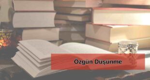 Özgün Düşünme