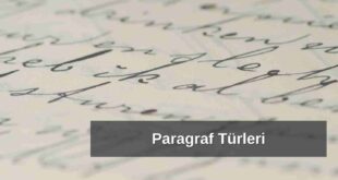 Paragraf Türleri