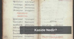 Kaside nedir