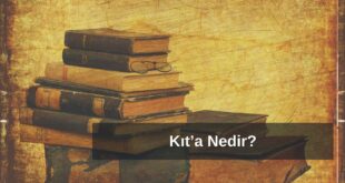 Kıta nedir