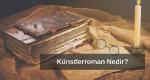 Künstlerroman Nedir