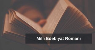 Milli Edebiyat Dönemi Romanı