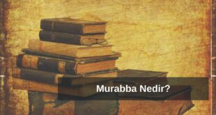 Murabba Nedir