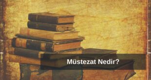 Müstezat nedir