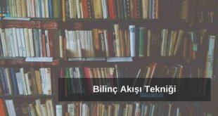 Bilinç Akışı Tekniği