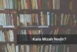 Kara Mizah Nedir