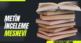 Metin İnceleme - Mesnevi