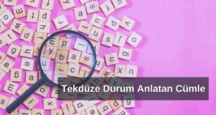 Tekdüze (Monoton) Durum Anlatan Cümleler