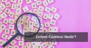 Ünlem Cümlesi Nedir