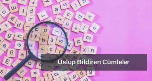 Üslup Bildiren Cümleler