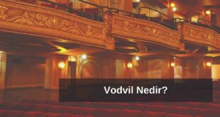 Vodvil Nedir